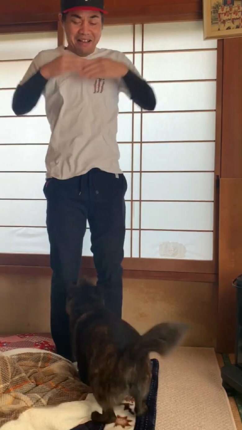 着地もお手のもの