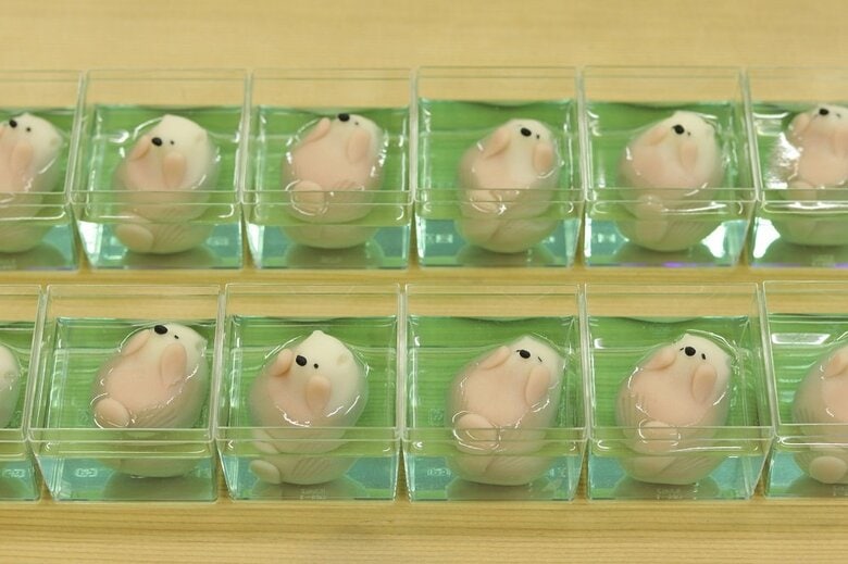 「ふ和ふ和浮遊水中園」のラッコ