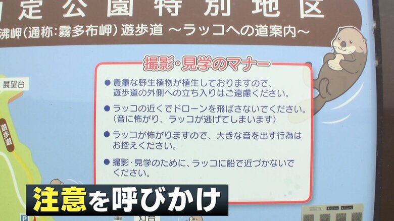 ラッコの見学マナーについて看板で呼びかけ