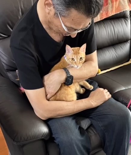提供：cohakuさん