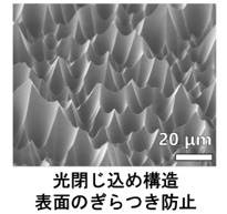 （産業技術総合研究所 提供）