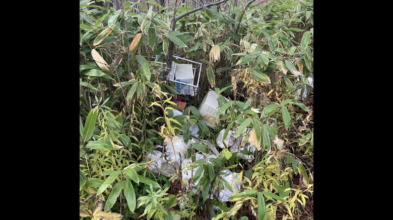 ごみ袋10袋以上分になる生ごみも