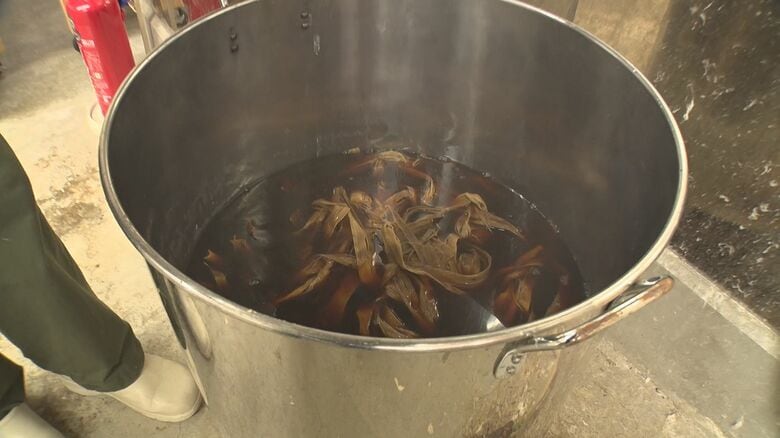 コウゾの木の皮