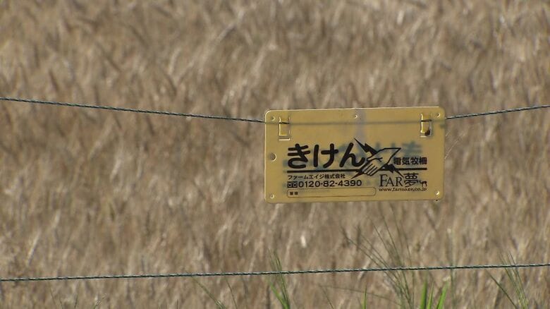 家庭菜園用の電気柵の貸し出しの受付が5月15日に始まる（資料画像）