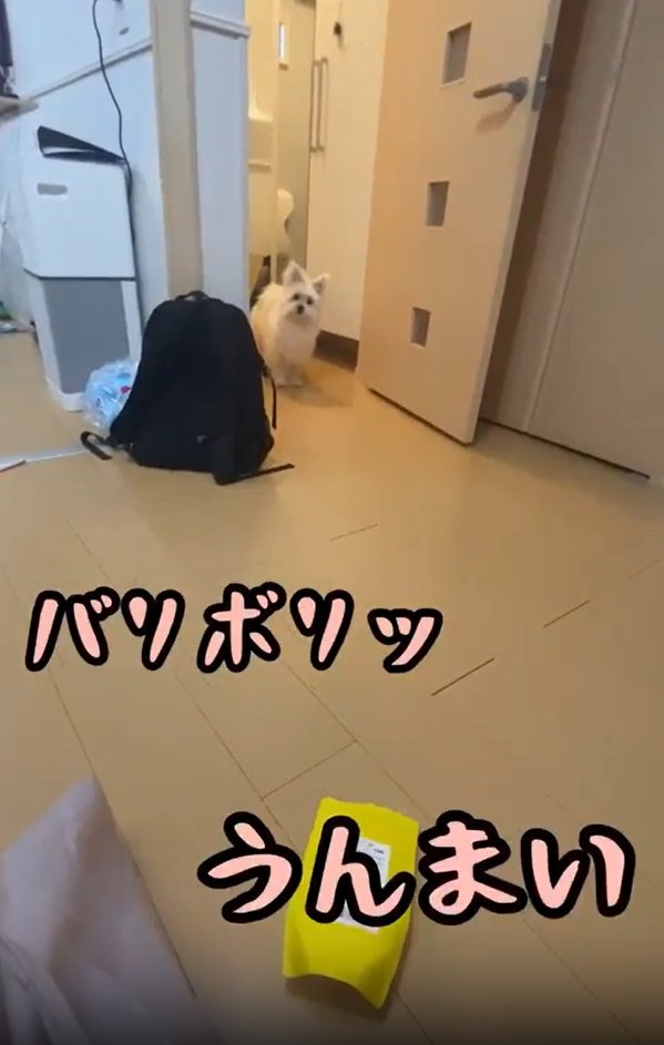 おちゃくんのおやつを食べちゃった！