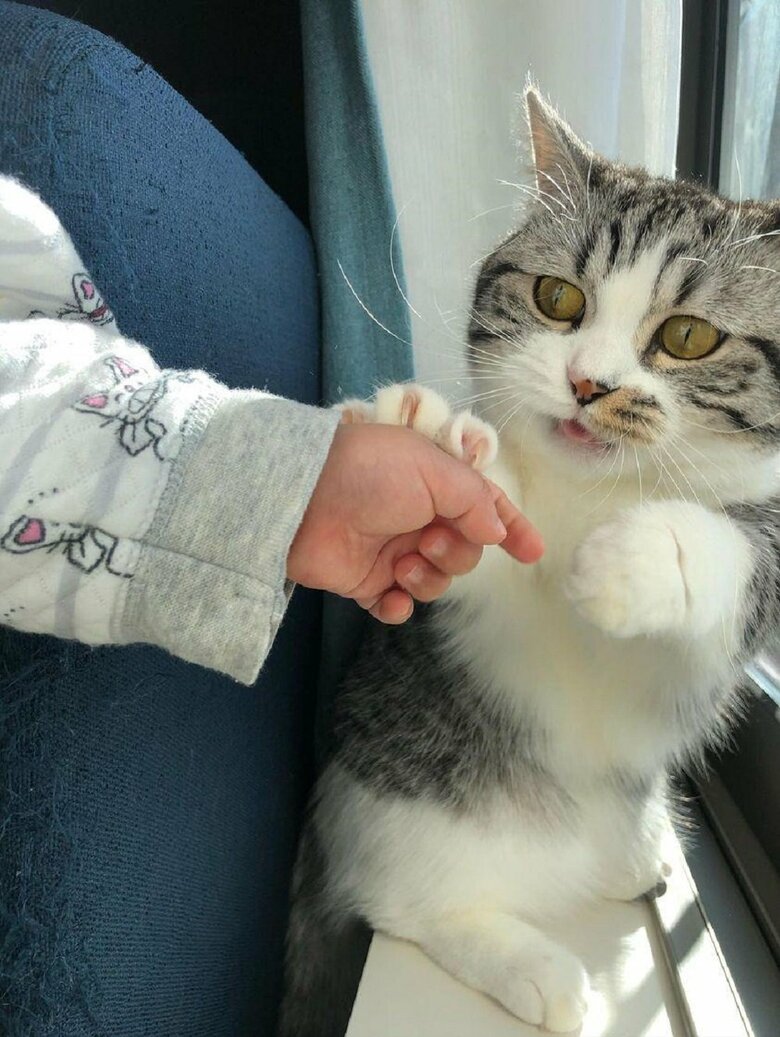 ムチくんの赤ちゃんの頃から接してきた