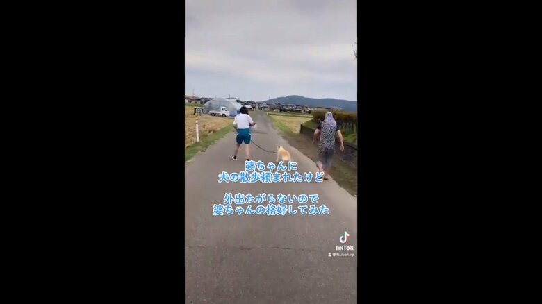 楽しそうに散歩をするももちゃんとつぼたさん