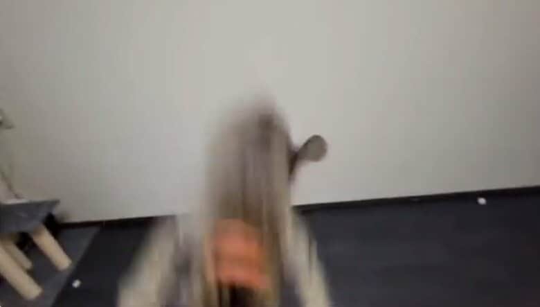 最後は壁を蹴って飼い主さんの元へ大ジャンプ！