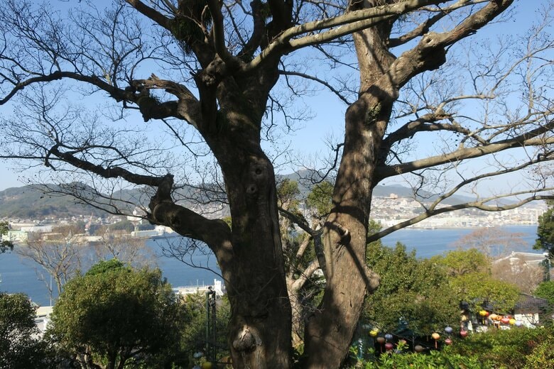 喫煙所の裏の木をよ～く見ると…