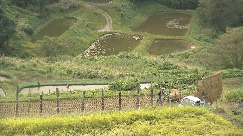 山古志 竹沢地区