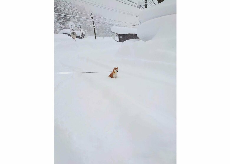 感情を失っている（提供：あおとはなさん）