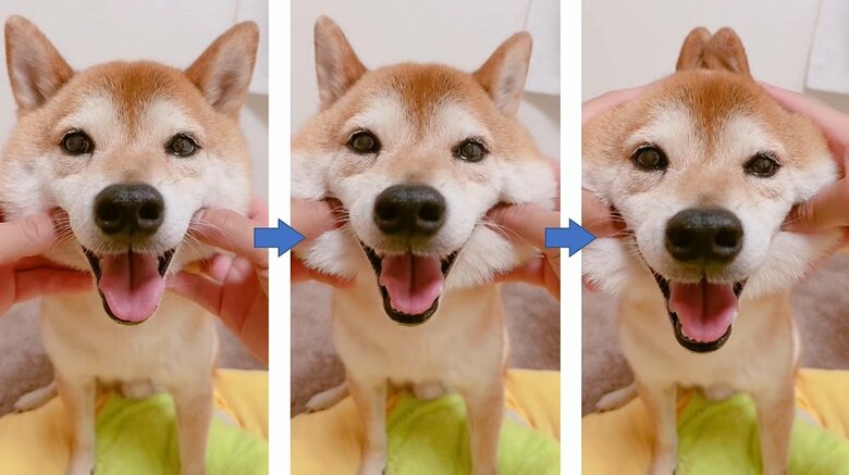 ムックくん顔遊び