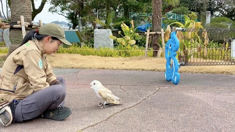 担当者のそばに寄るアイちゃん①
