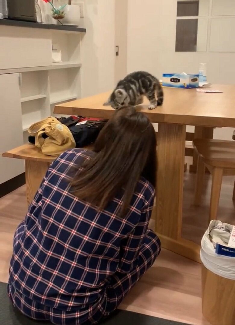 最後までわちゃわちゃしていたあんこくんだった