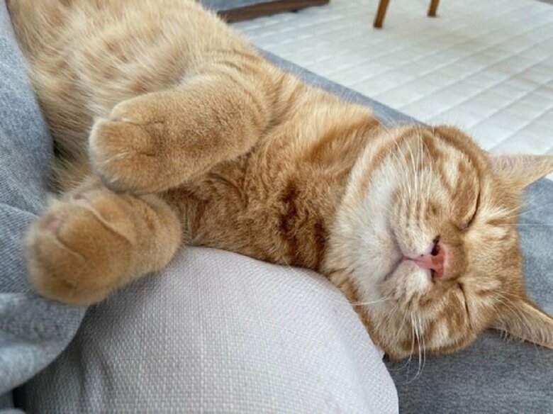まったり