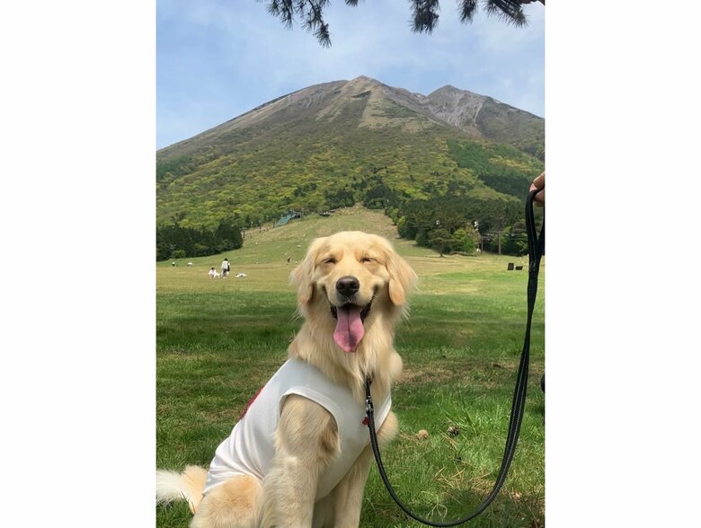 提供：エマさん