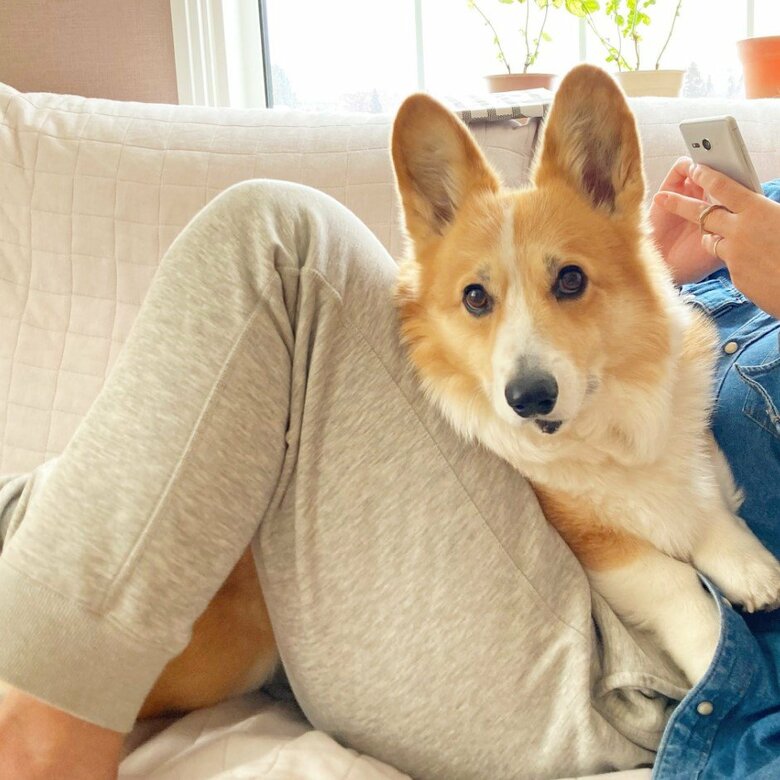 提供：むぎん家＠きよらさん