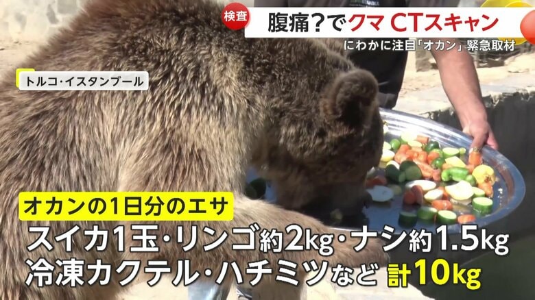 オカンくんがご飯を食べる様子（IHA）