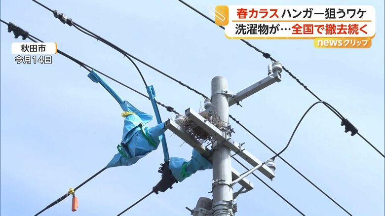 （14日、秋田市）