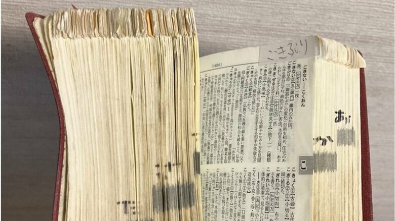 んちゅたぐいさんの新明解四版。面白いと感じた部分には付箋を貼っている※解説や例文の表現は当時のもの