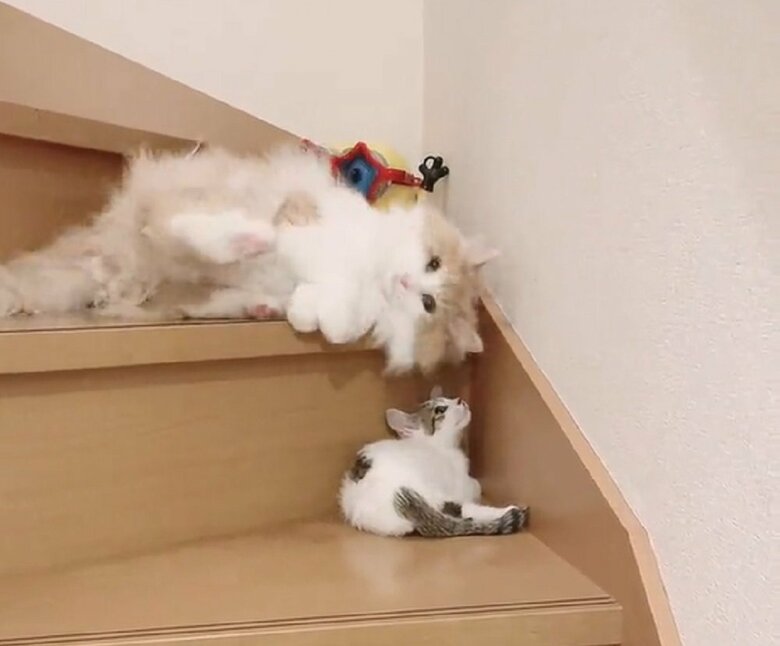 悶えているような動きを見せる