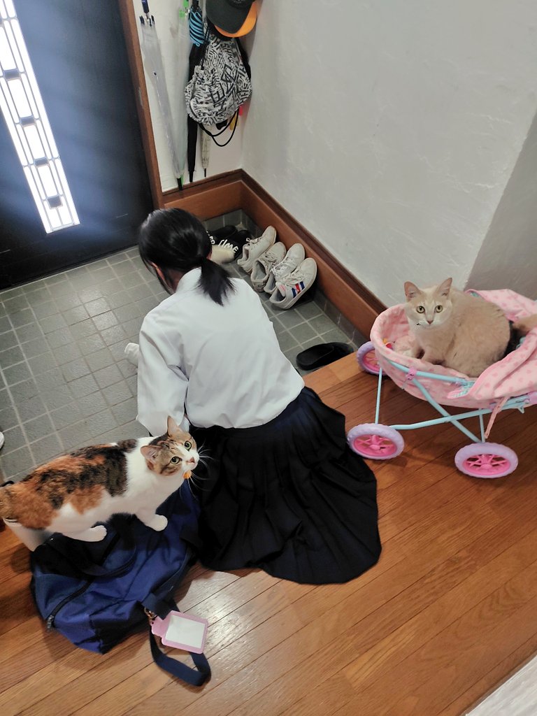 提供：nyaokoさん