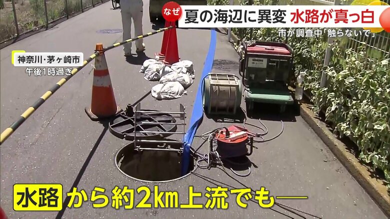 問題の水路から約2km上流でも、白く濁っている水