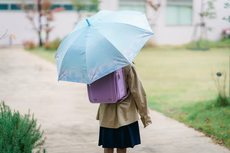 提供：株式会社ハシモト