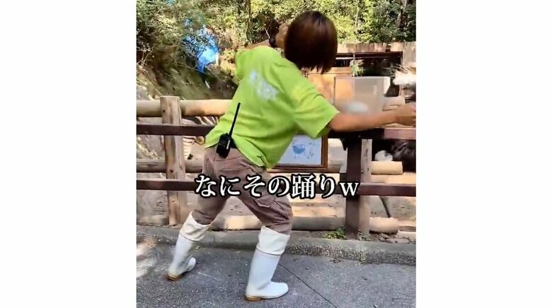 ダチョウは右側に去っていってしまう…