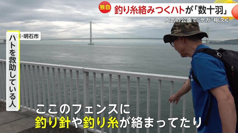 ハトに糸がからむ原因を語った救助活動をしていた男性