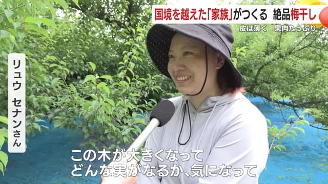 自分が育てた木に引き寄せられたと語るリュウさん