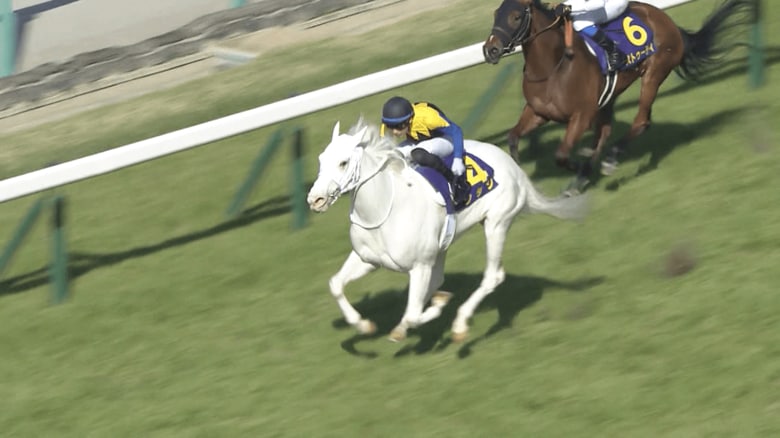 ソダシ（桜花賞・2021年）