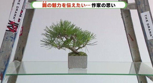 盆栽の鉢としても活躍