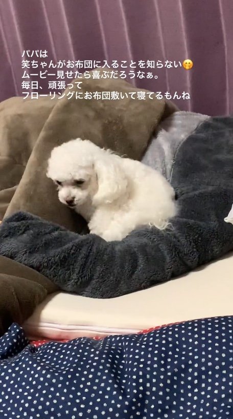 提供：＠tanaka.akemi1225