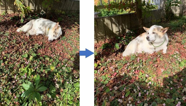 穴のそばでゴロンとしていると…ズリズリお尻が穴の中へ