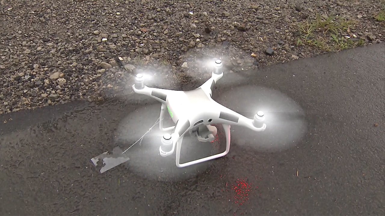 カラス撃退ドローン作戦 特殊な目 どう封じる Fnnプライムオンライン きれいな赤紫色のブドウ ここは 岐阜県屈 ｄメニューニュース Nttドコモ