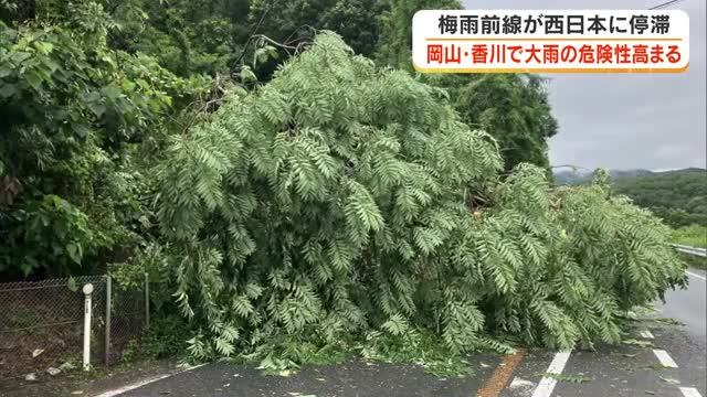 【注意】岡山・香川で警報級の大雨となる恐れ　国道では倒木も…香川県内ではレベル３「高齢者等避難」発令