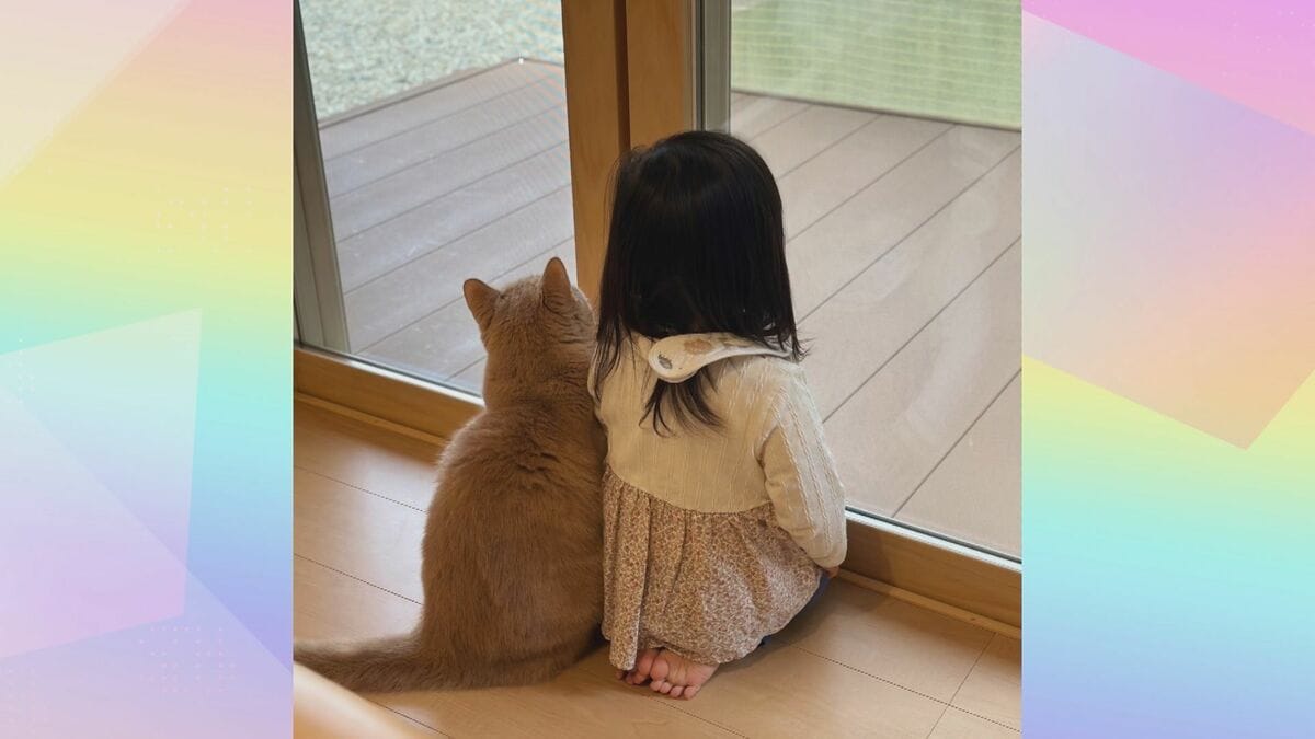 まるで本当の兄妹…窓際でぴったり寄り添うネコの小鉄くんと飼い主の2歳 