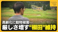 『日本の棚田百選』に選ばれた棚田でも…「コメ作りは今年で最後」高齢化にイノシシ被害…厳しさ増す“棚田”維持 「儲からないし苦労するから継がせない」