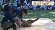 「体が軽くなったと思う」　ヒツジの「田中さん」の毛刈りに子どもたち興味津々　富山市ファミリーパーク