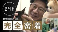 動物病院の一日に密着 “声なき声”に耳を傾ける獣医師たちの奮闘