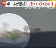 “奇跡のトス”がSNSで話題に「ありがとう！」屋根の上へ飛んだボールを“カモメ”が手助けし生徒たち大歓声　トルコ