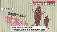 大分のブランドサツマイモ「甘太くん」約220トン出荷できず　JAは補償の方針も農家と折り合いつかず