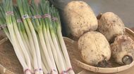 秋の野菜は「長ネギ」と「レンコン」がおすすめ　物価高でも”お求めやすい価格”に【新潟発】