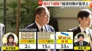 「給付金なんて意味ない」給付？減税？政府与党内で経済対策が急浮上　背景にトランプ大統領の「相互関税」　街からは減税求める声が多数