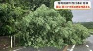 【注意】岡山・香川で警報級の大雨となる恐れ　国道では倒木も…香川県内ではレベル３「高齢者等避難」発令