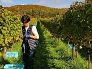 「甘さ×旨味」の可能性を信じて - 昆布ティラミス誕生の裏側 -