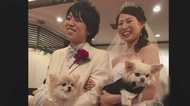 離婚協議中に水難事故を装い妻殺害…野田容疑者のスマホ検索履歴に「殺人」「交通事故」