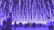 鬼滅の世界!光る藤棚・東京の空にオーロラ! 進化が止まらない冬の最新絶景イルミネーション