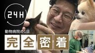 動物病院の一日に密着　“声なき声”に耳を傾ける獣医師たちの奮闘